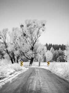 lyceen trouver sa voie