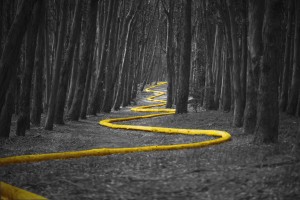 Changer de voie d'études avec Eurêka Study