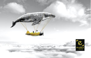 rêve d'orientation baleine