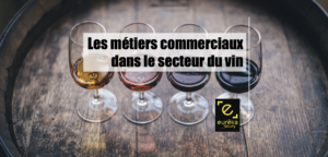 verres de vin métiers et formations
