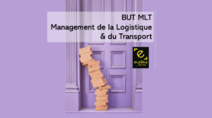 BUT Logistique Colis transport