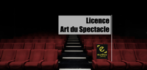 fauteuil theatre licence art du spectacle