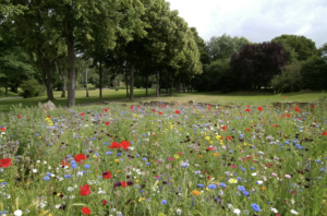 parc de saint cloud