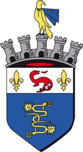 blason le mesnil le roi 78