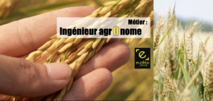 Ingénieur agronome agricol métier et formations