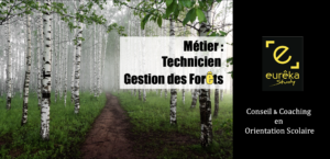 Gestion des forêts