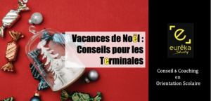 Noël Revision Terminales