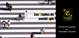 études sociologie, conseil orientation, coaching, eurêka study