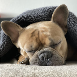 bien dormir avant le bac