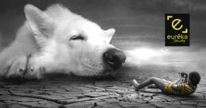 Lyceen photographe aimer son métier pour exceller conseil en orientation scolaire Eurêka Study