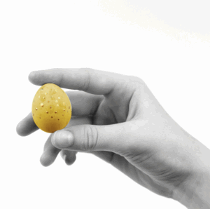 oeuf jaune tenu par une main symbole du projet professionnel qui doit éclore 