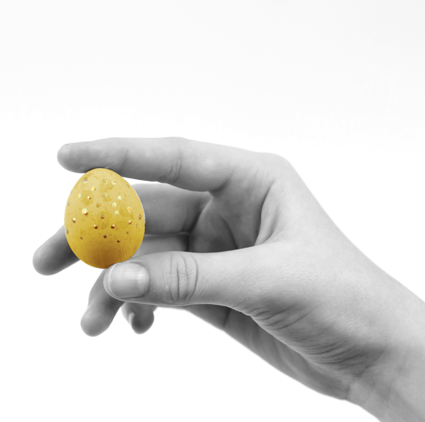 oeuf jaune tenu par une main symbole du projet professionnel qui doit éclore