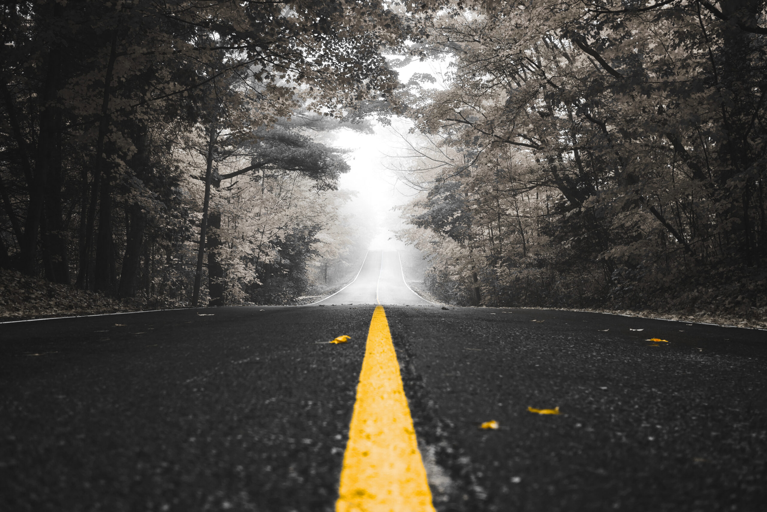 gouvernail de bateau fixer le cap et les objectifs