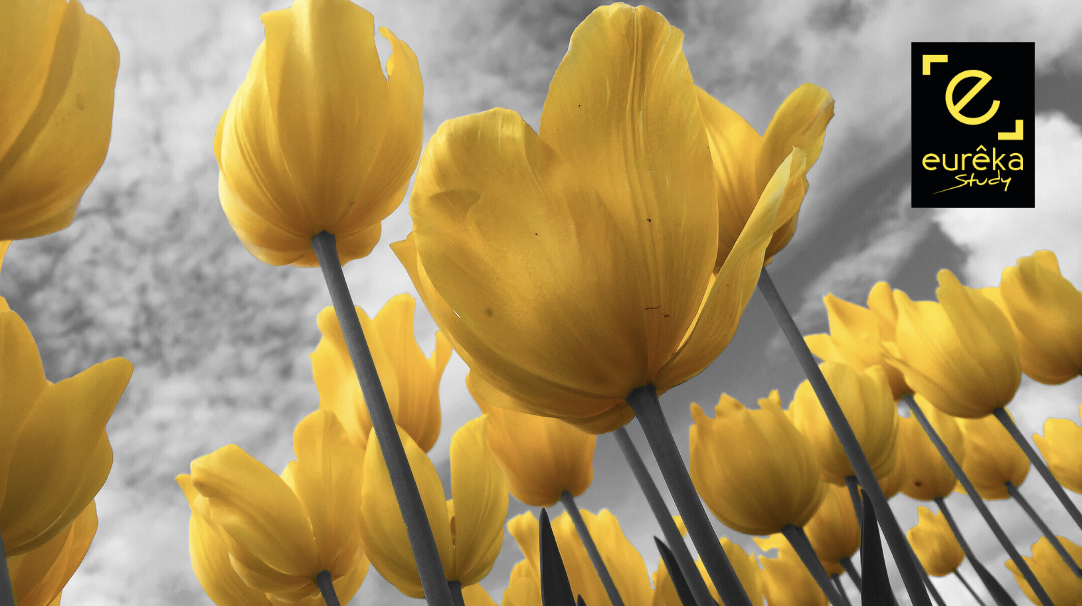 relais de course symbole de la transmission d'expérience dans les formations professionnelles