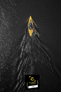 canoe jaune du projet d'orientation avançant avec de l'élan pris, logo eurêka study eurêka study PRO