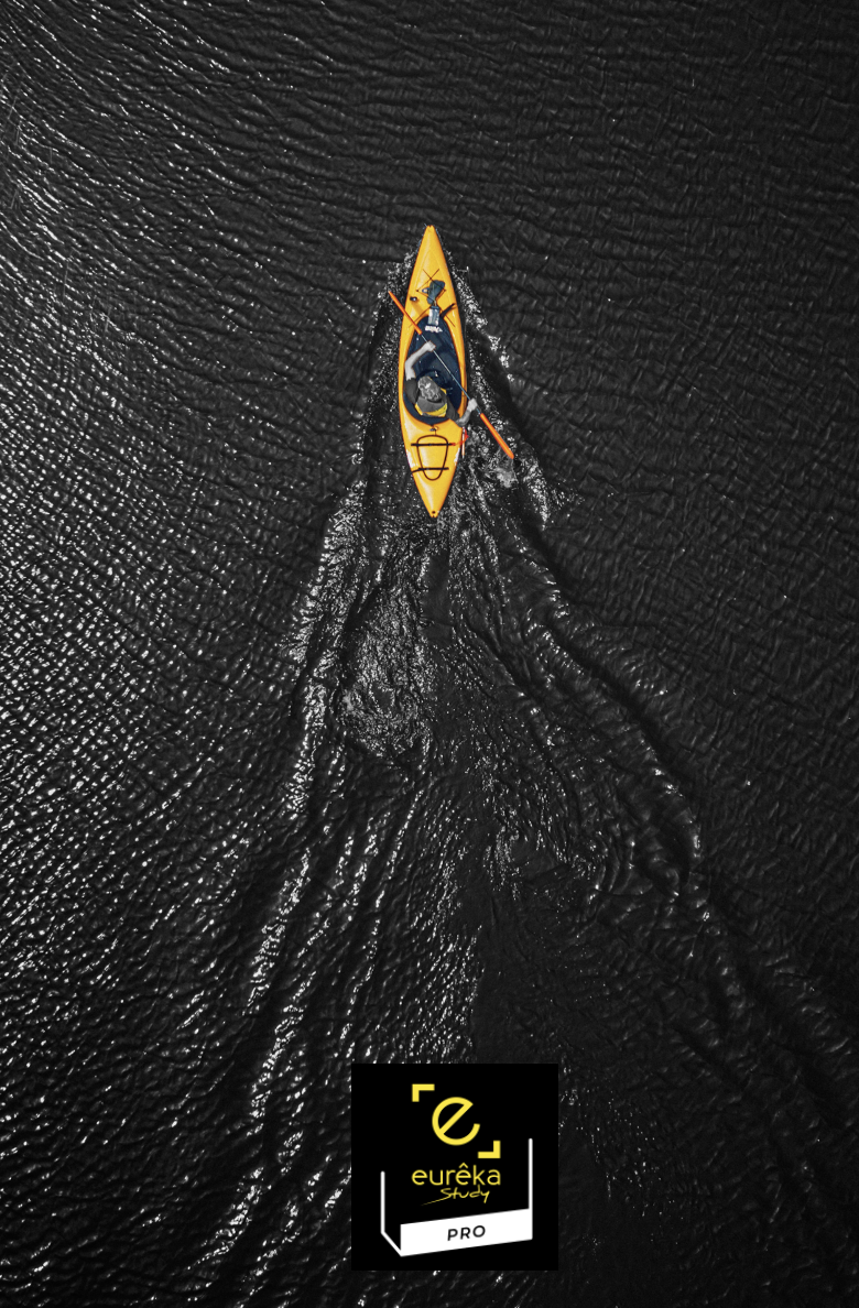 canoe jaune du projet d'orientation avançant avec de l'élan pris, logo eurêka study eurêka study PRO