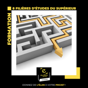 Labyrinthe des filières d'études du supérieur formation académie eurêka study