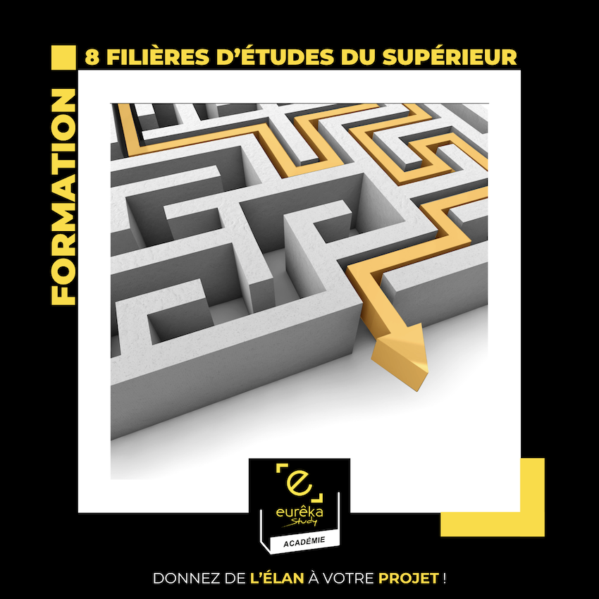 Labyrinthe des filières d'études du supérieur formation académie eurêka study