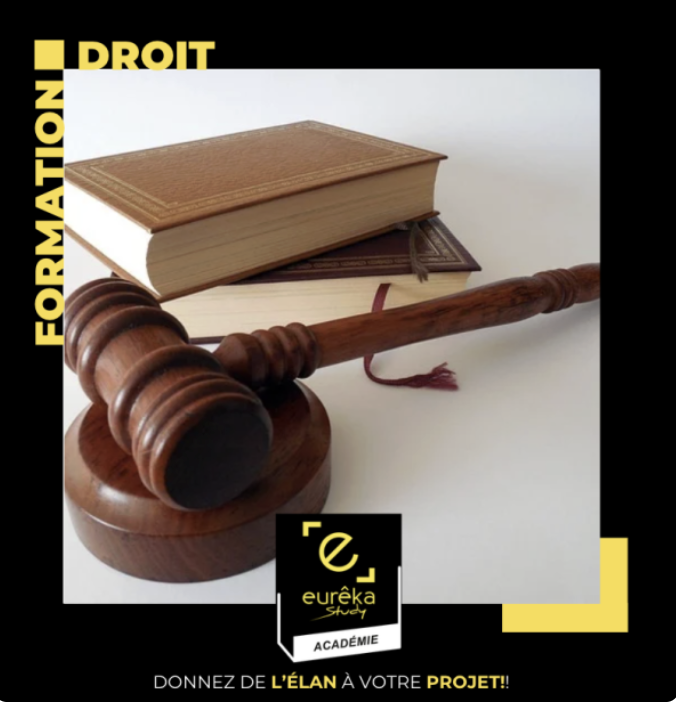 marteau de juge et livre de droit pour les formations en études de droit - logo académie eurêka study