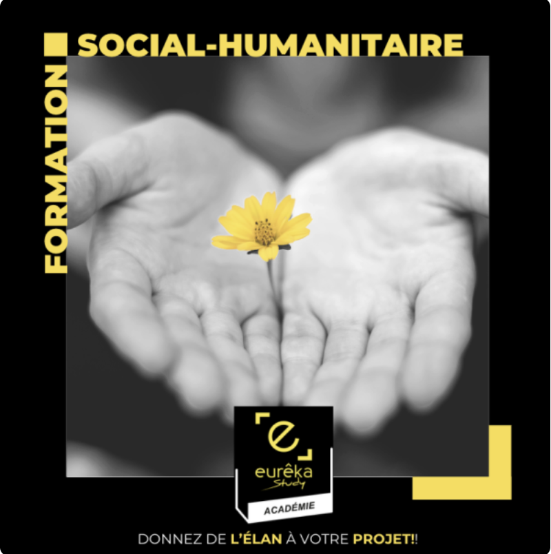 une fleur jaune offerte par deux mains ouvertes symbole des études dans l'humanitaire